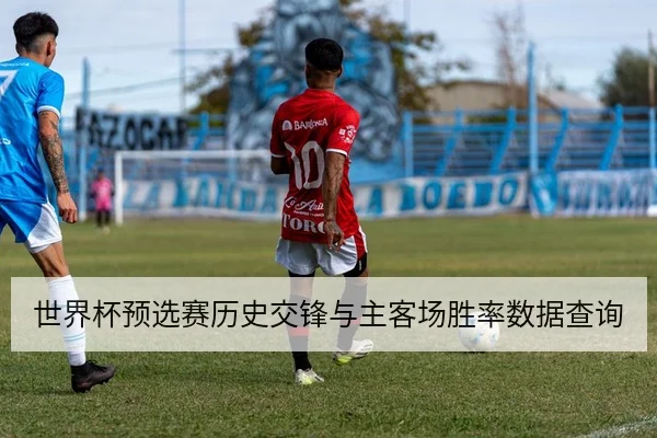 世界杯预选赛历史交锋与主客场胜率数据查询