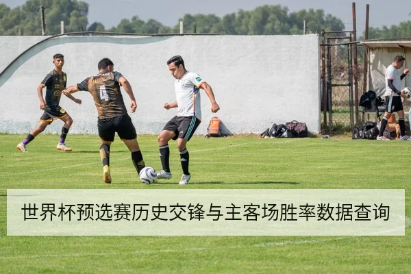 世界杯预选赛历史交锋与主客场胜率数据查询